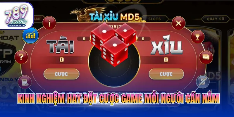 Kinh nghiệm hay đặt cược game mỗi người cần nắm